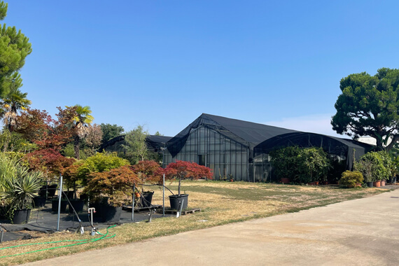 Vendita piante e cura giardini a Olgiate Olona