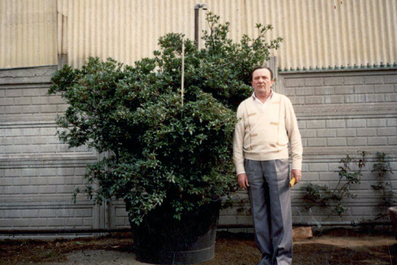 Dal 1970 anche piante esotiche