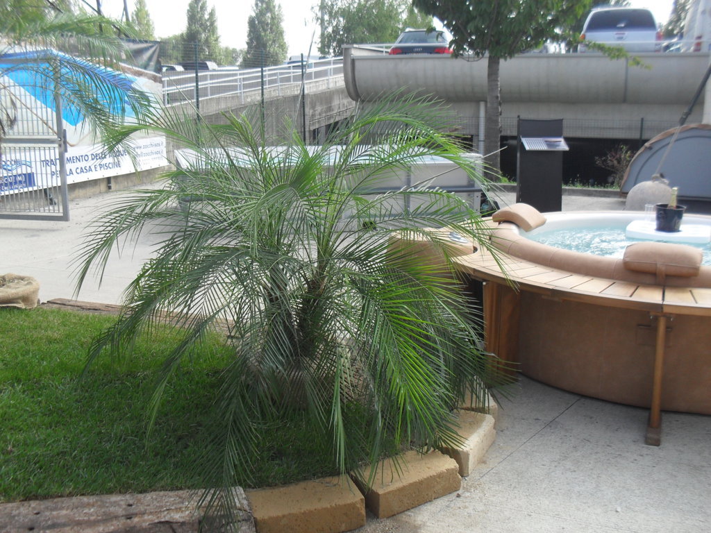 (FILEminimizer)_ SDC17517.JPG