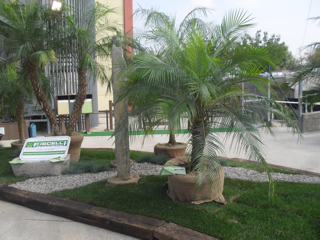 (FILEminimizer)_ SDC17518.JPG