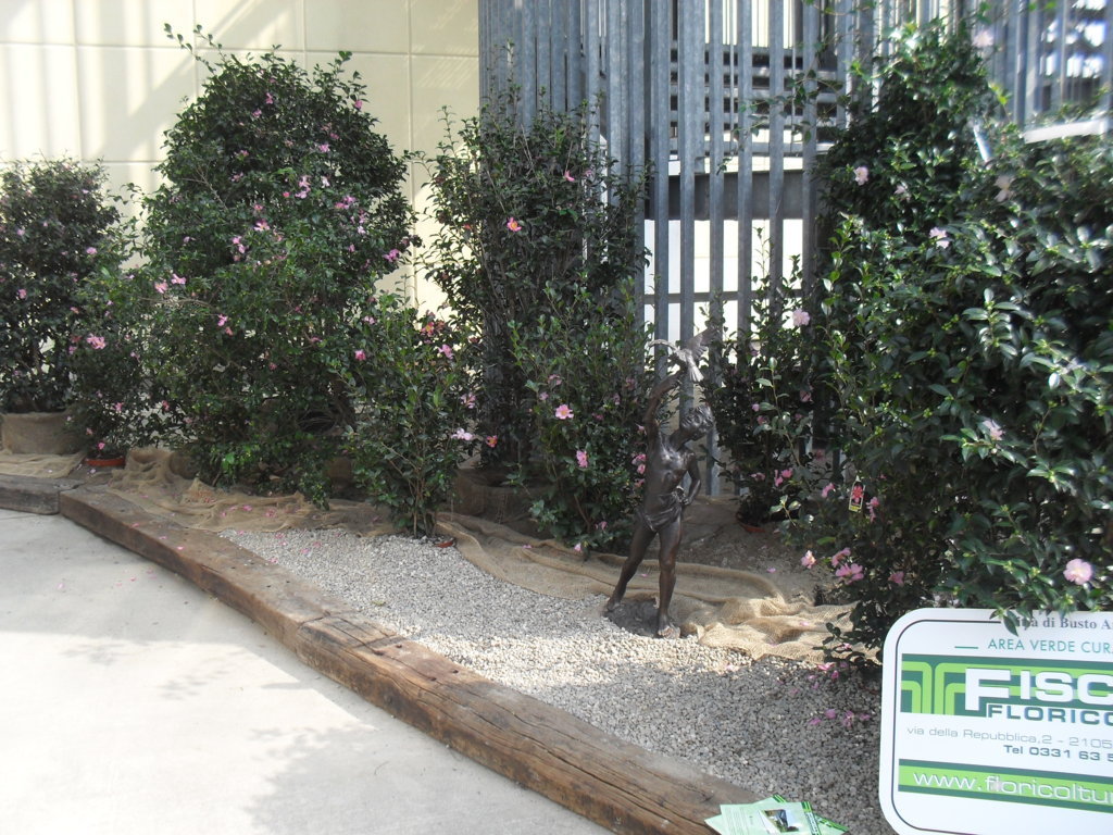 (FILEminimizer)_ SDC17522.JPG