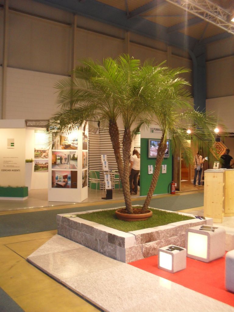 (FILEminimizer)_ SDC17523.JPG