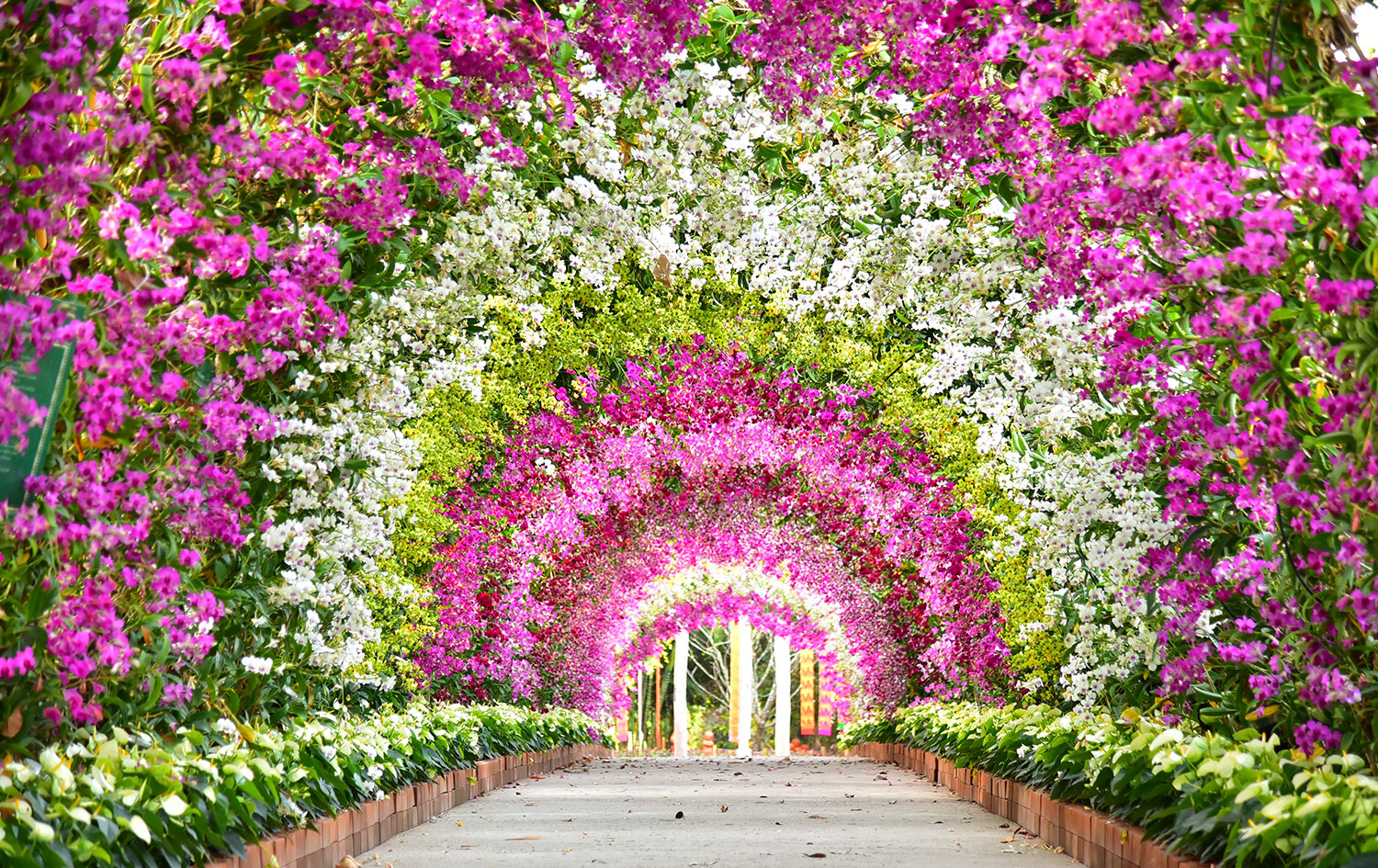 Allestimento verde per location ed eventi