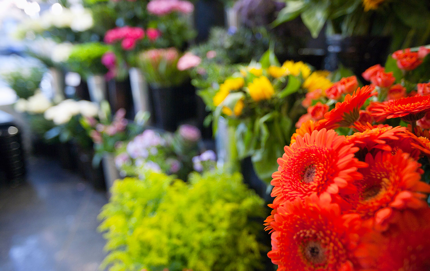 Forniture per Giardinieri di Busto Arsizio